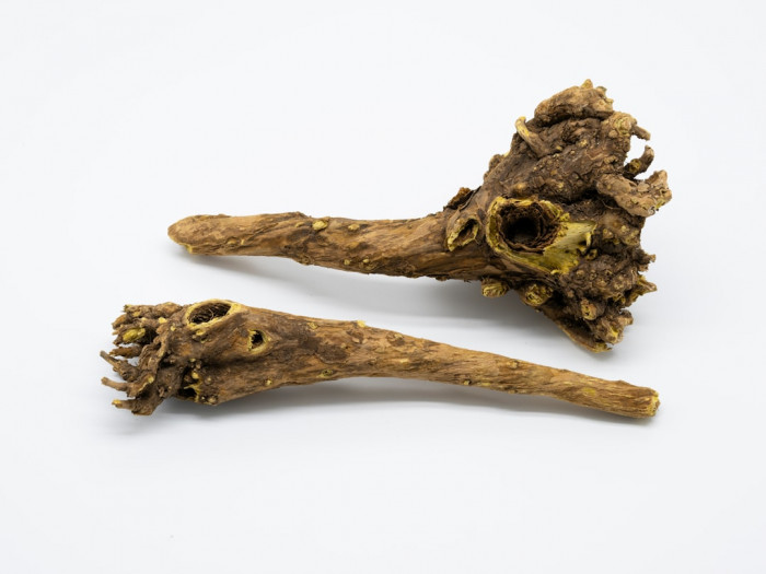 İngilizcem Pek İyi Değil: Neler Yapabilirim?